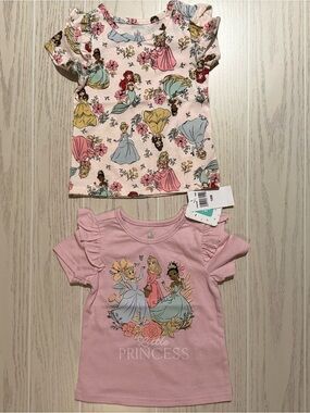 Disney Baby Girls 18M Pink Princess Floral Ruffle Sleeve 2 Pc Shirt Set NWT